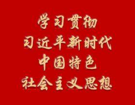 深学细悟正确政绩观 实干担当践行育人